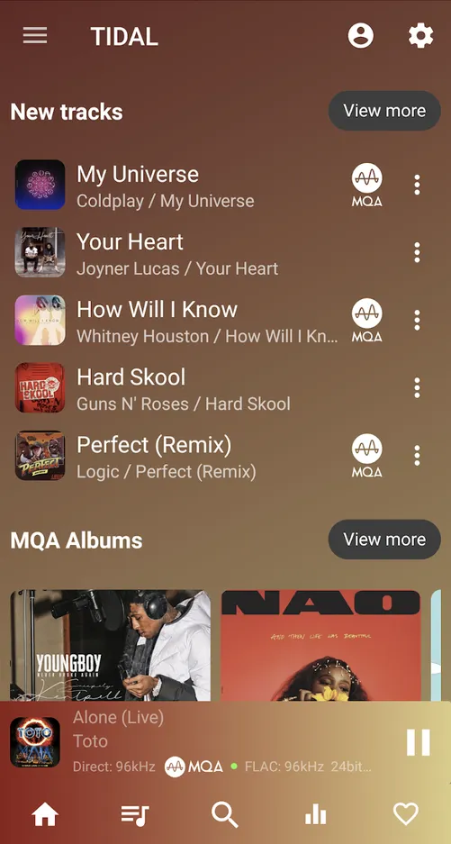 Download USB Audio Player PRO .1 APK for android free