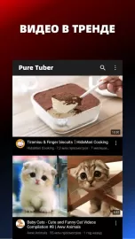 Pure Tuber: Block Ads on Video
