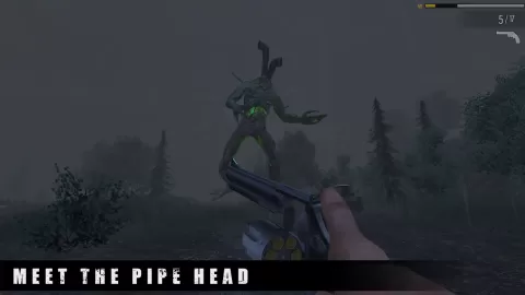 PIPE HEAD STORY