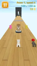 Cat Run