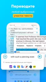 Book's Parallel Translation