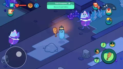 Dumb Ways to Survive
