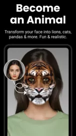 Face Over