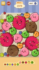 Fruit Merge