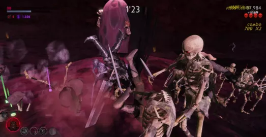 Berserk Survivor