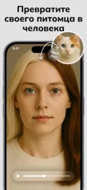 Livensa