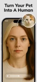 Livensa
