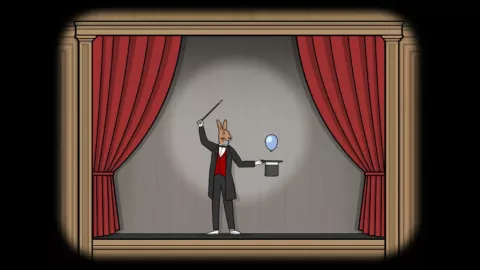 The Mr. Rabbit Magic Show