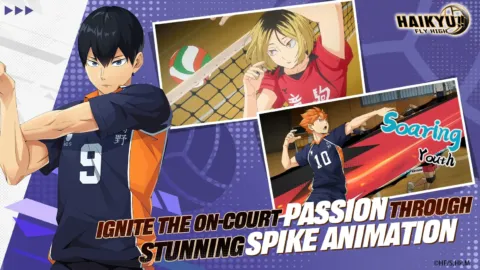 HAIKYU FLY HIGH
