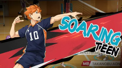 HAIKYU FLY HIGH