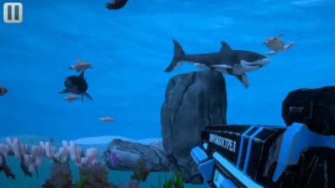 5 nights at Timokha 5: Island