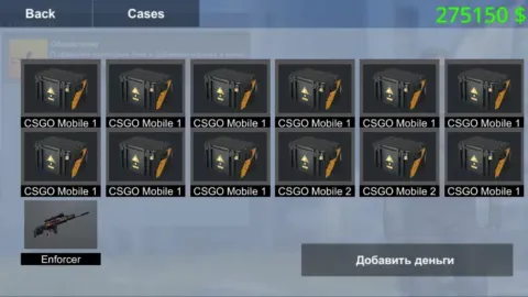Project CS