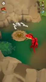 Raptor Evolution