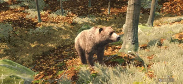 Way of the Hunter Wild Europe