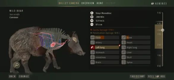 Way of the Hunter Wild Europe