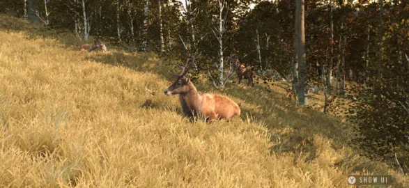 Way of the Hunter Wild Europe