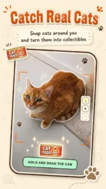 CatchCat