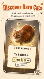 CatchCat