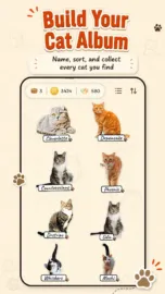 CatchCat