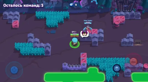 Banan Brawl
