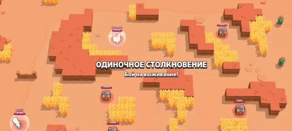 Donty Brawl