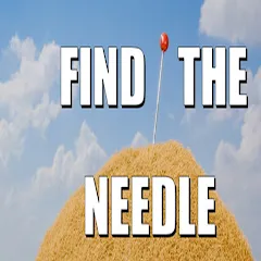 Find The Needle