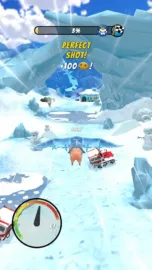 My Flying Pig