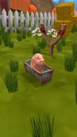 My Flying Pig