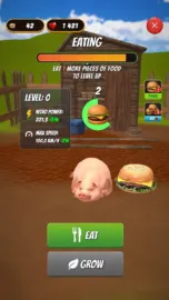My Flying Pig