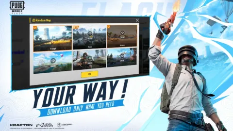 PUBG MOBILE FLASH