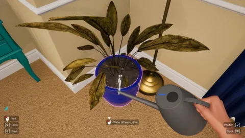 Woman Simulator